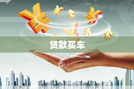 蒙城贷款买车