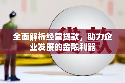 蒙城全面解析经营贷款，助力企业发展的金融利器
