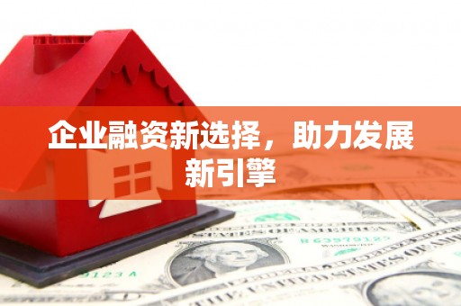 蒙城企业融资新选择，助力发展新引擎