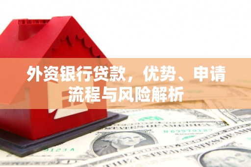 蒙城外资银行贷款，优势、申请流程与风险解析