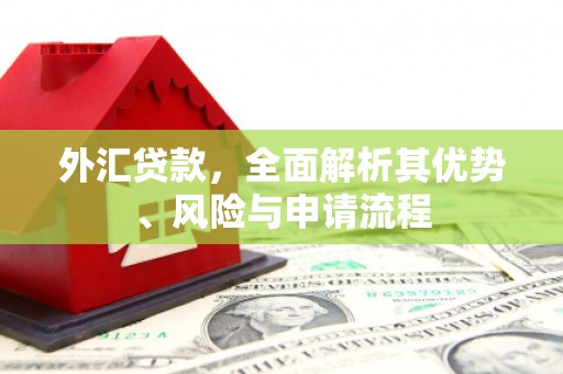 蒙城外汇贷款，全面解析其优势、风险与申请流程