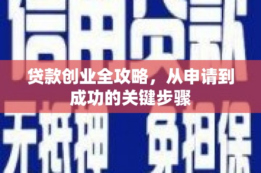 蒙城贷款创业全攻略，从申请到成功的关键步骤