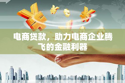 蒙城电商贷款，助力电商企业腾飞的金融利器