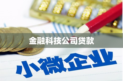 蒙城金融科技公司贷款