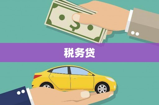 蒙城税务贷