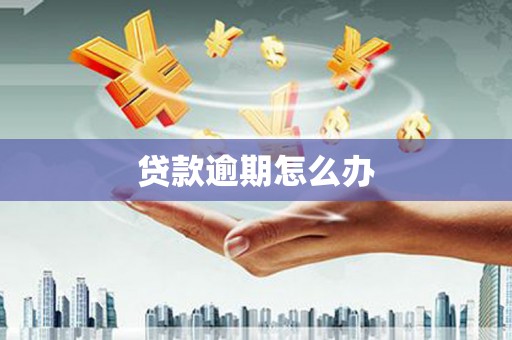 蒙城贷款逾期怎么办