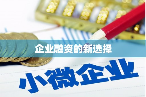 蒙城企业融资的新选择