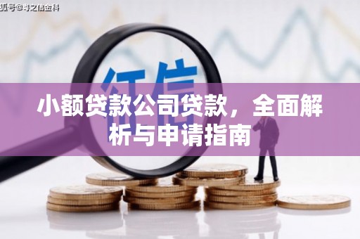 蒙城小额贷款公司贷款，全面解析与申请指南
