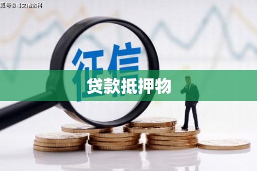 蒙城贷款抵押物