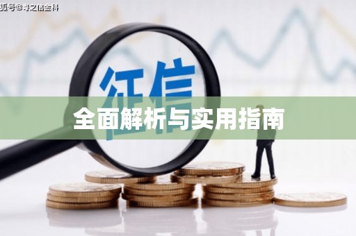 蒙城全面解析与实用指南