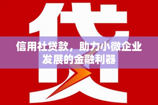 蒙城信用社贷款，助力小微企业发展的金融利器