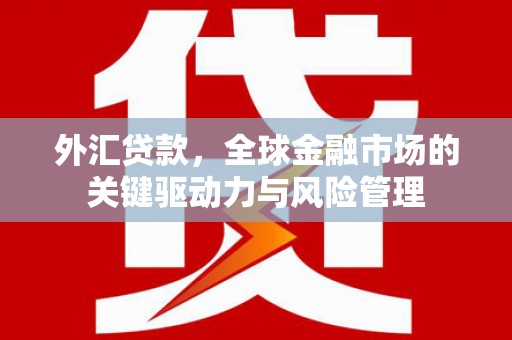 蒙城外汇贷款，全球金融市场的关键驱动力与风险管理