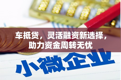 蒙城车抵贷，灵活融资新选择，助力资金周转无忧