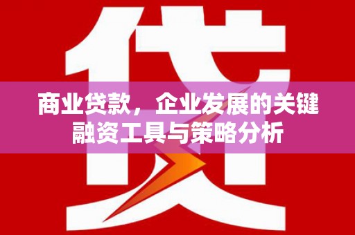 蒙城商业贷款，企业发展的关键融资工具与策略分析
