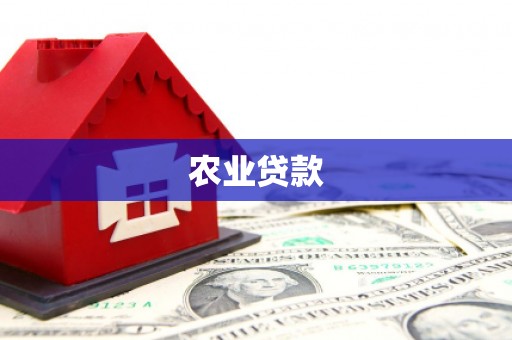 蒙城农业贷款