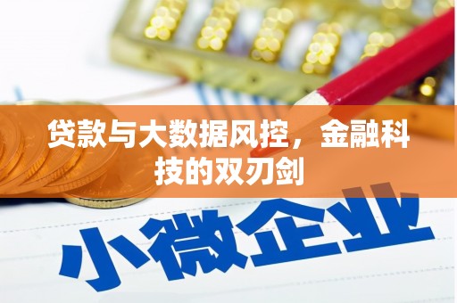 蒙城贷款与大数据风控，金融科技的双刃剑