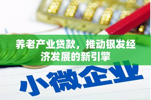蒙城养老产业贷款，推动银发经济发展的新引擎