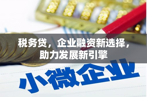 蒙城税务贷，企业融资新选择，助力发展新引擎