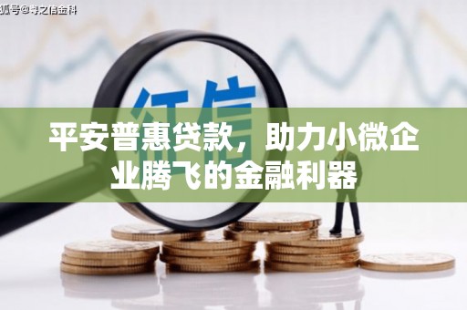 蒙城平安普惠贷款，助力小微企业腾飞的金融利器