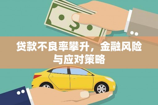 蒙城贷款不良率攀升，金融风险与应对策略