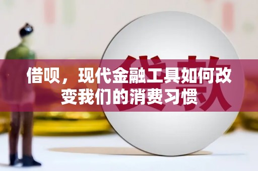 蒙城借呗，现代金融工具如何改变我们的消费习惯