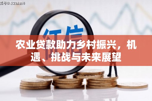 蒙城农业贷款助力乡村振兴，机遇、挑战与未来展望