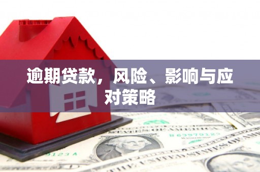 蒙城逾期贷款，风险、影响与应对策略