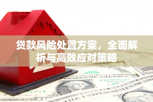 蒙城贷款风险处置方案，全面解析与高效应对策略