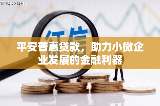 蒙城平安普惠贷款，助力小微企业发展的金融利器