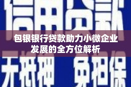 蒙城包银银行贷款助力小微企业发展的全方位解析