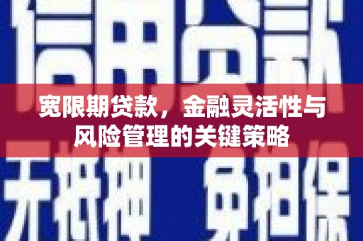 蒙城宽限期贷款，金融灵活性与风险管理的关键策略