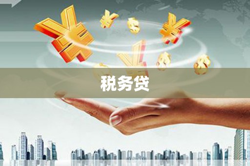 蒙城税务贷