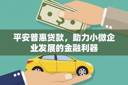 蒙城平安普惠贷款，助力小微企业发展的金融利器
