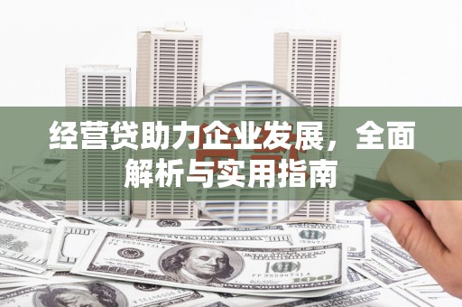 蒙城经营贷助力企业发展，全面解析与实用指南