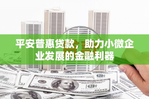 蒙城平安普惠贷款，助力小微企业发展的金融利器