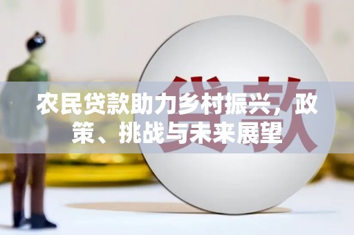 蒙城农民贷款助力乡村振兴，政策、挑战与未来展望