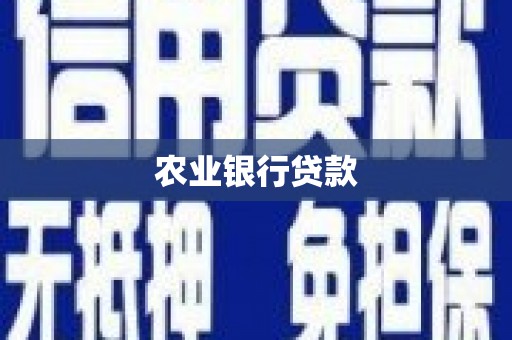 蒙城农业银行贷款