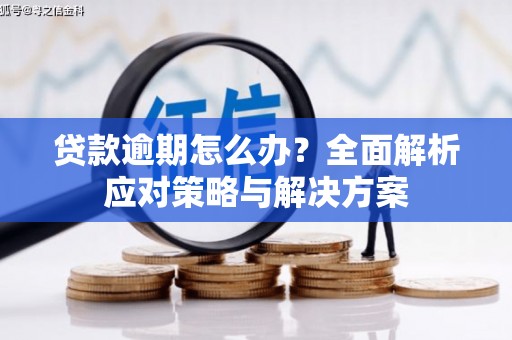 蒙城贷款逾期怎么办？全面解析应对策略与解决方案