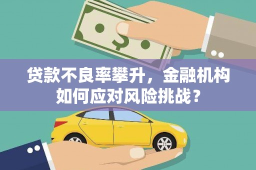 蒙城贷款不良率攀升，金融机构如何应对风险挑战？