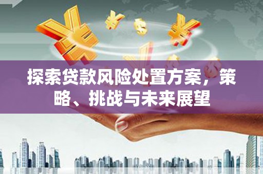 蒙城探索贷款风险处置方案，策略、挑战与未来展望