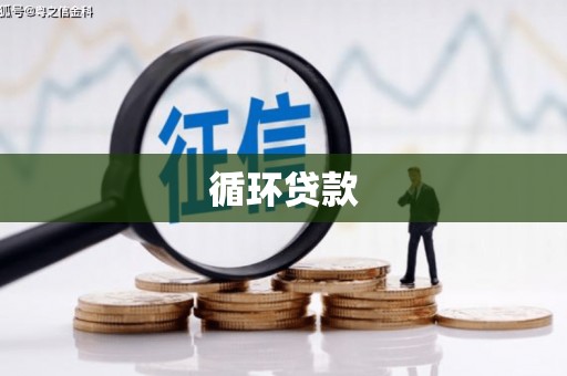 蒙城循环贷款