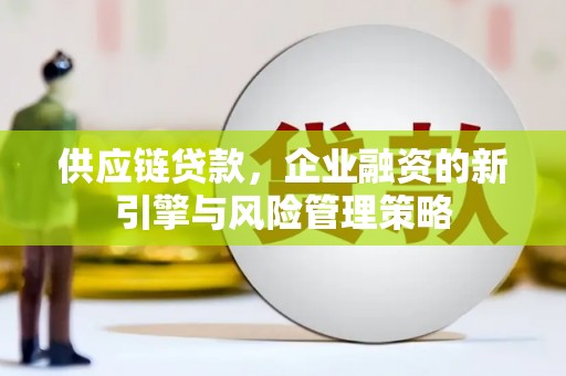 蒙城供应链贷款，企业融资的新引擎与风险管理策略