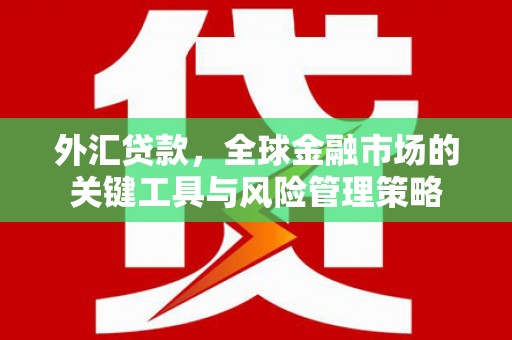 蒙城外汇贷款，全球金融市场的关键工具与风险管理策略