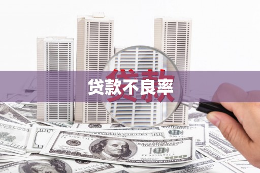 蒙城贷款不良率