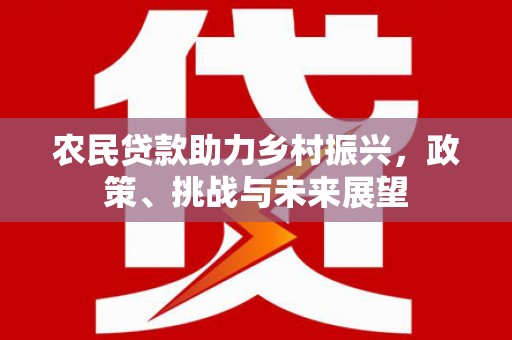 蒙城农民贷款助力乡村振兴，政策、挑战与未来展望