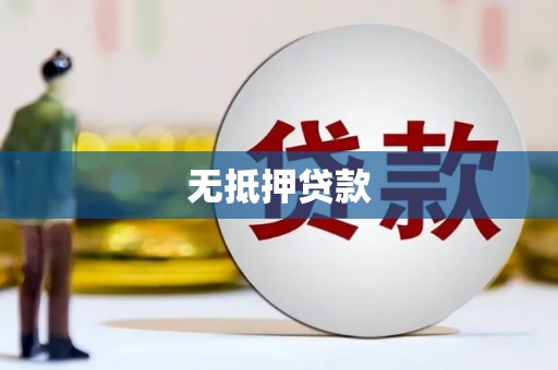 蒙城无抵押贷款