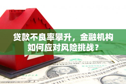 蒙城贷款不良率攀升，金融机构如何应对风险挑战？