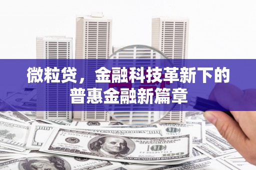 蒙城微粒贷，金融科技革新下的普惠金融新篇章