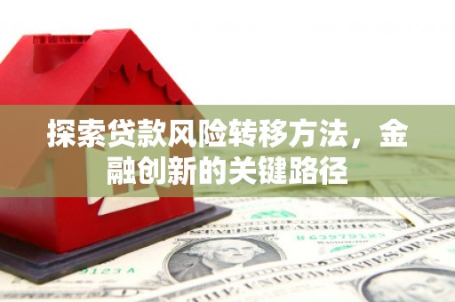 蒙城探索贷款风险转移方法，金融创新的关键路径