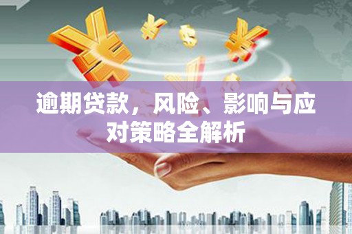 蒙城逾期贷款，风险、影响与应对策略全解析